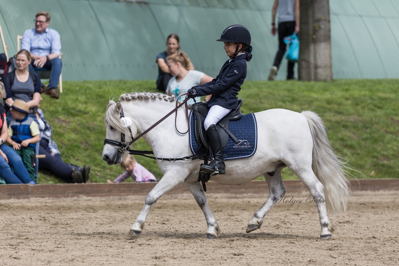 Bild 173 - Pony Akademie Turnier